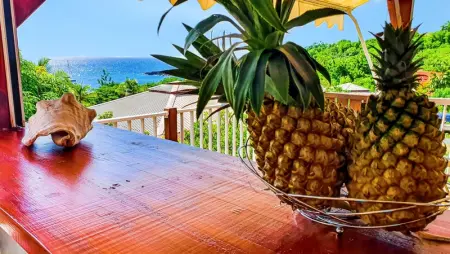 Bungalow enchanteur à Bouillante avec vue sur la mer - Photo 24