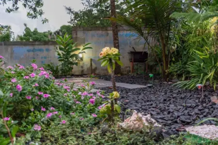 Villa charmante à Capesterre Belle Eau avec piscine privée - Photo 31