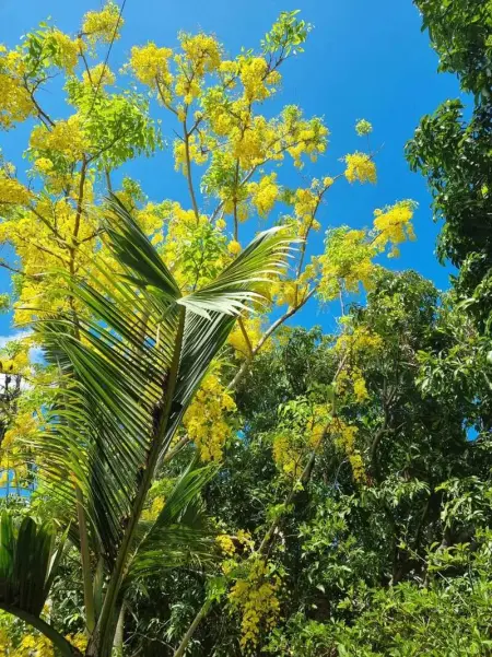 Maison confortable au Bois des Nefles, 70 m² avec piscine partagée - Photo 12
