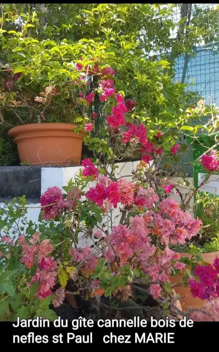 Maison confortable au Bois des Nefles, 70 m² avec piscine partagée - Photo 16