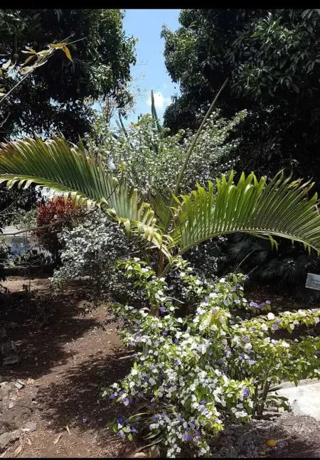Maison confortable au Bois des Nefles, 70 m² avec piscine partagée - Photo 17