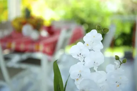 Villa élégante avec piscine privée à Saint-François - Photo 25