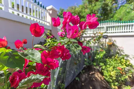 Villa paradisiaque à Pointe-Noire avec piscine privée - Photo 17