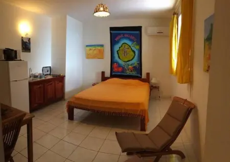 Studio lumineux avec vue sur la mer à Capesterre, 20 m², terrasse - Photo 1