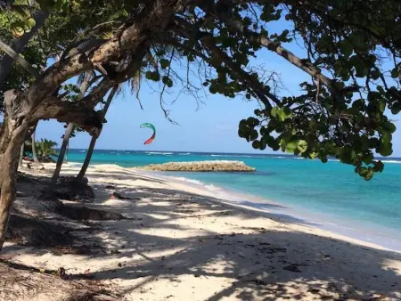 Studio lumineux avec vue sur la mer à Capesterre, 20 m², terrasse - Photo 9
