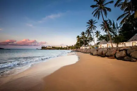 Studio lumineux avec vue sur la mer à Capesterre, 20 m², terrasse - Photo 11