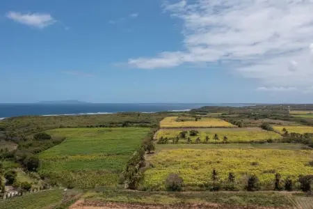 Villa élégante à Saint-François + Piscine privée ouverte toute l’année - Photo 44