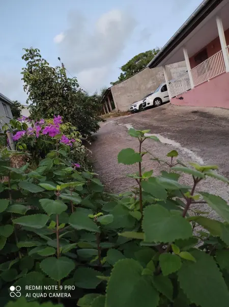Appartement convivial au cœur de Le Moule avec piscine partagée - Photo 11