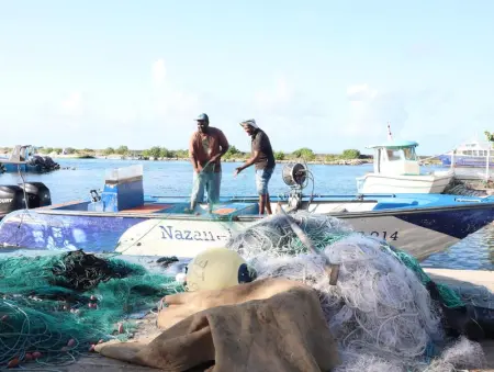 Studio charmant à Saint-François de 30 m² avec piscine partagée - Photo 9