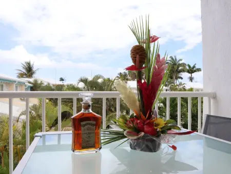 Studio charmant à Saint-François de 30 m² avec piscine partagée - Photo 23