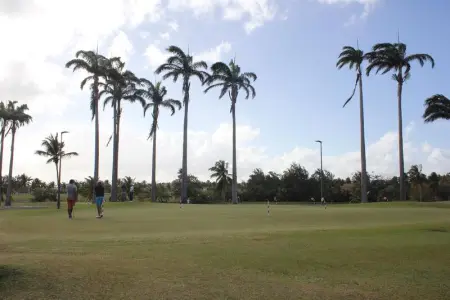 Studio charmant à Saint-François de 30 m² avec piscine partagée - Photo 26