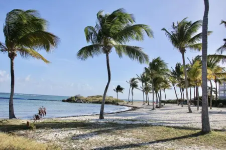 Studio charmant à Saint-François de 30 m² avec piscine partagée - Photo 34
