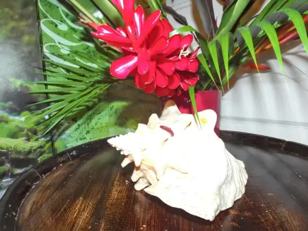 Villa de luxe à Pointe Noire, Villa 4 personnes à Pointe noire - Photo 19