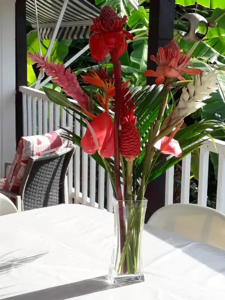 Bungalow charmant à Bouillante avec terrasse et barbecue - Photo 4