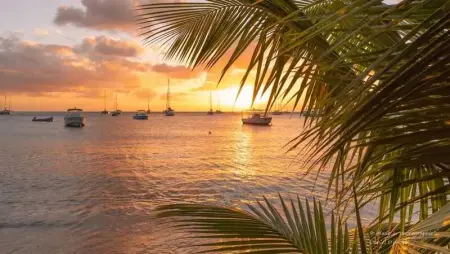 Studio de charme à Bouillante, 100 m², vue sur mer et montagnes - Photo 2
