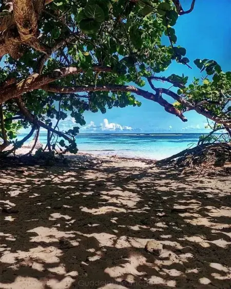 Studio de charme à Bouillante, 100 m², vue sur mer et montagnes - Photo 3