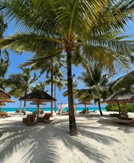 Studio de charme à Bouillante, 100 m², vue sur mer et montagnes - Photo 5
