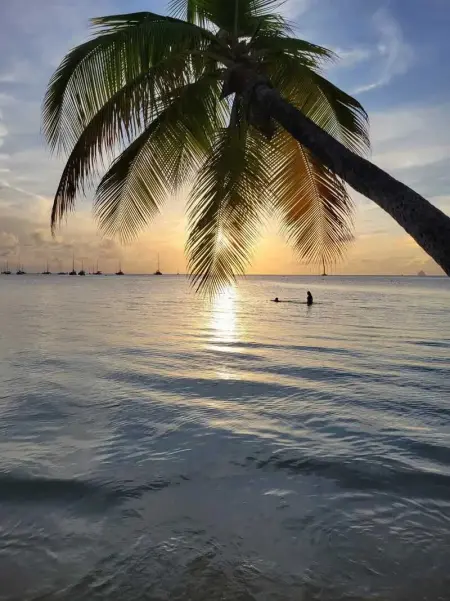 Studio de charme à Bouillante, 100 m², vue sur mer et montagnes - Photo 6