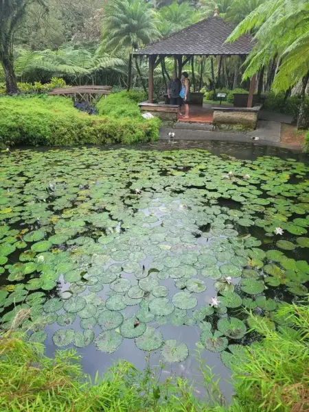 Studio de charme à Bouillante, 100 m², vue sur mer et montagnes - Photo 9