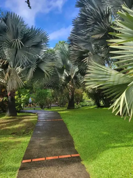 Studio de charme à Bouillante, 100 m², vue sur mer et montagnes - Photo 10