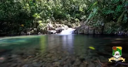 Studio de charme à Bouillante, 100 m², vue sur mer et montagnes - Photo 16