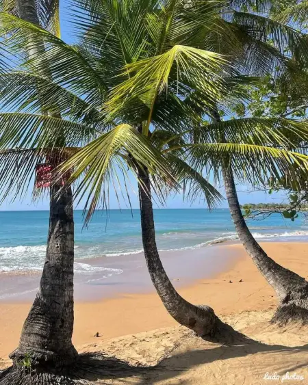 Studio de charme à Bouillante, 100 m², vue sur mer et montagnes - Photo 19