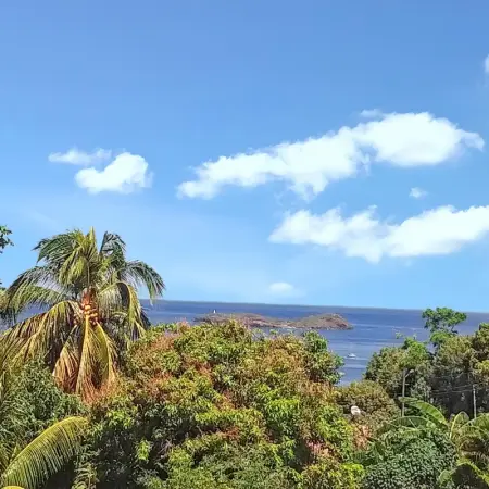 Studio de charme à Bouillante, 100 m², vue sur mer et montagnes - Photo 49