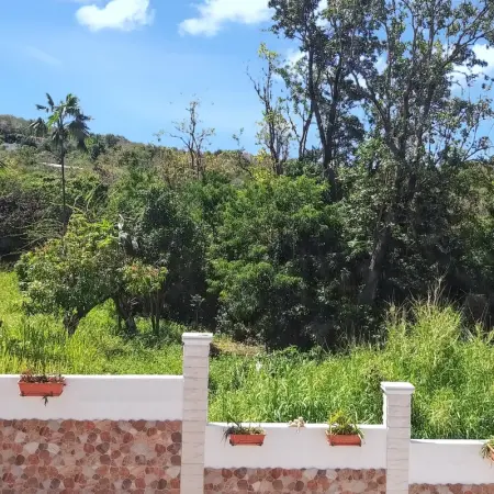 Studio de charme à Bouillante, 100 m², vue sur mer et montagnes - Photo 50
