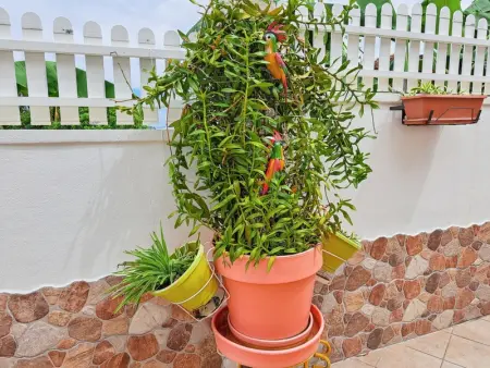 Studio de charme à Bouillante, 100 m², vue sur mer et montagnes - Photo 59