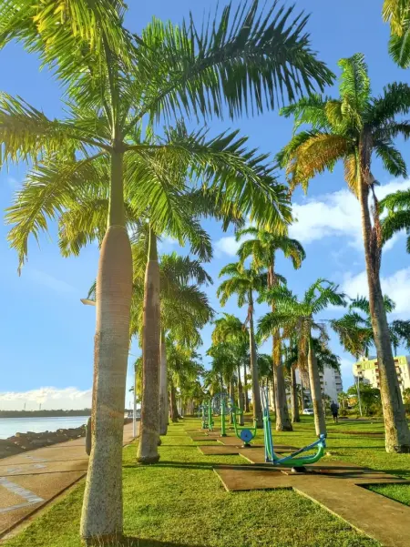 Studio de charme à Bouillante, 100 m², vue sur mer et montagnes - Photo 67