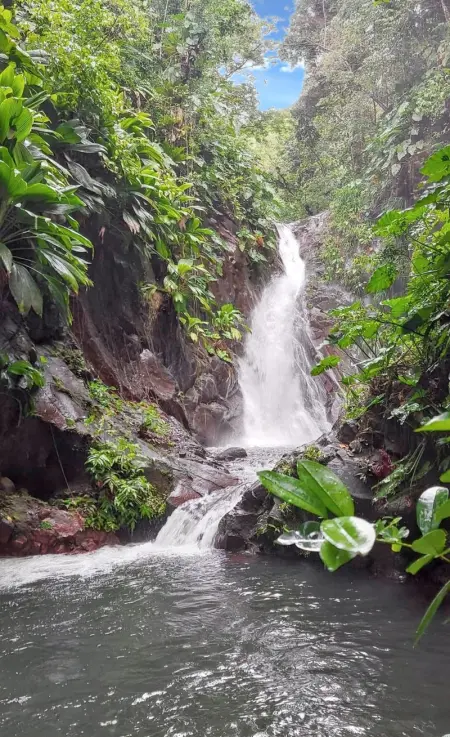 Studio de charme à Bouillante, 100 m², vue sur mer et montagnes - Photo 72