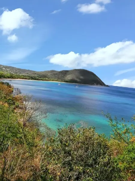 Studio de charme à Bouillante, 100 m², vue sur mer et montagnes - Photo 73