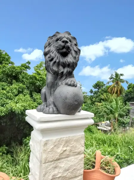 Studio de charme à Bouillante, 100 m², vue sur mer et montagnes - Photo 74