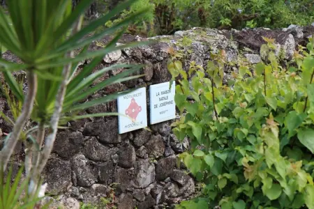 Appartement lumineux à Les Trois-Îlets - 70 m² - Vue sur mer - Photo 9