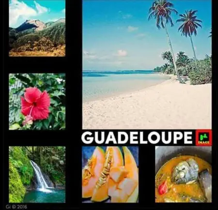 Appartement confortable à Capesterre Belle Eau 60 m² vue mer ! - Photo 9