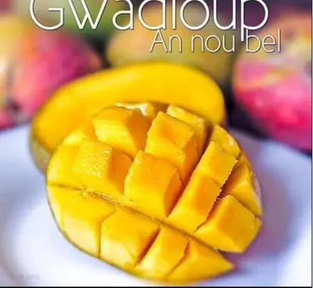 Appartement confortable à Capesterre Belle Eau 60 m² vue mer ! - Photo 10