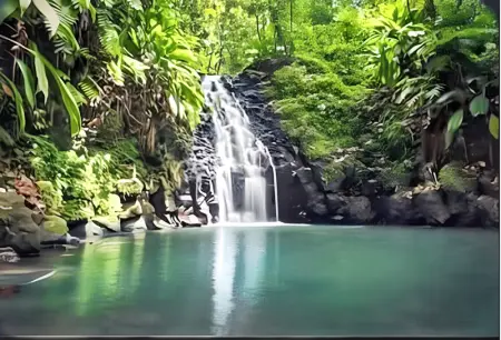 Appartement confortable à Capesterre Belle Eau 60 m² vue mer ! - Photo 11