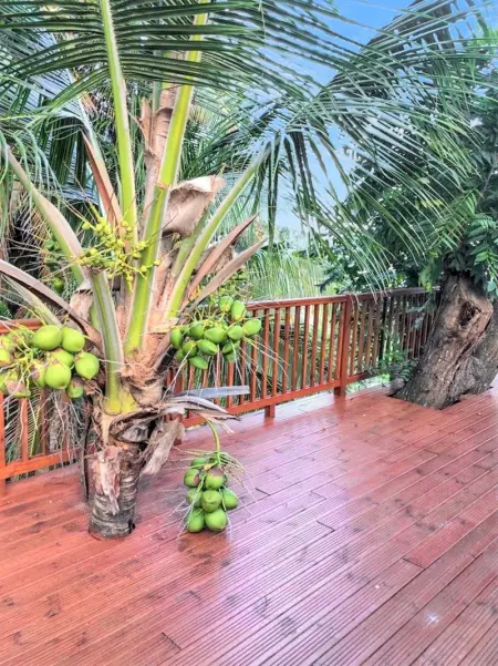 Maison accueillante à La Trinité avec piscine partagée 57 m² - Photo 8