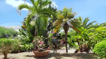 Maison accueillante à La Trinité avec piscine partagée 57 m² - Photo 21