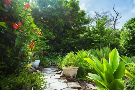 Maison vue sur mer à Vieux-Habitants + Terrasse - Photo 20