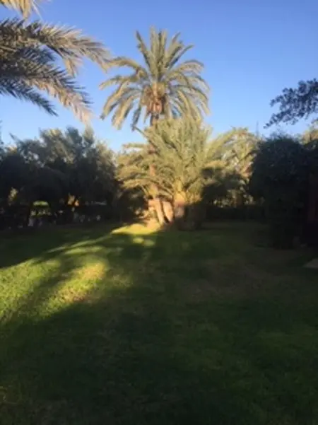 Appartement confortable à Marrakech avec piscine partagée, 124 m² - Photo 22