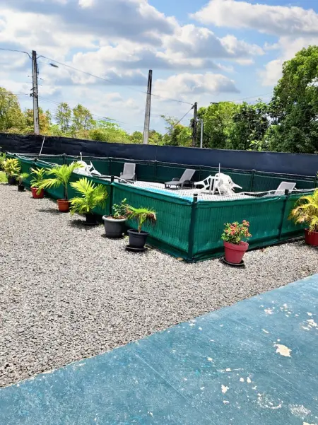 Maison confortable à Le Moule avec piscine partagée - Photo 10