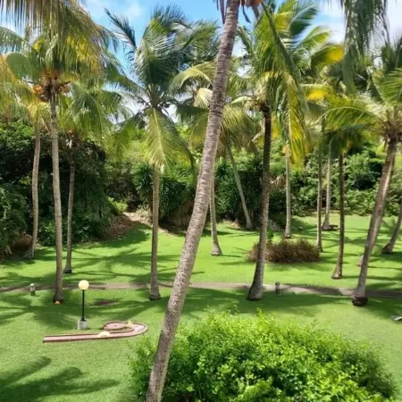 Studio cosy à Saint-François - 21 m² avec balcon et piscine - Photo 14