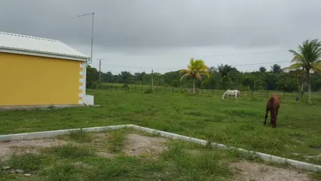 Maison charmante à Macouria avec jardin clôturé et terrasse - Photo 12