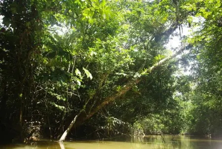 Maison charmante à Macouria avec jardin clôturé et terrasse - Photo 16