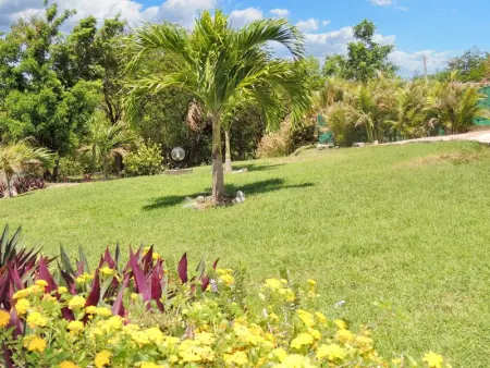 Appartement spacieux à Bouillante avec piscine partagée - Photo 3