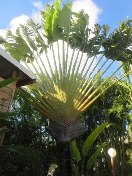 Bungalow charmant à Saint-François avec piscine partagée - Photo 15