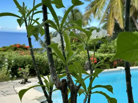 Villa en bord de mer à Saint-Pierre, 100 m², Villa 6 personnes à Saint Pierre - Photo 16