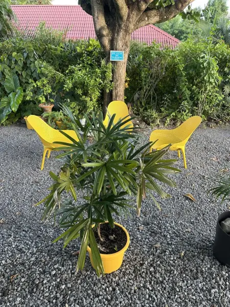 Villa en bord de mer à Saint-Pierre, 100 m², Villa 6 personnes à Saint Pierre - Photo 18