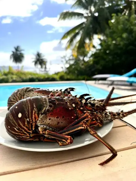 Villa en bord de mer à Saint-Pierre, 100 m², Villa 6 personnes à Saint Pierre - Photo 20